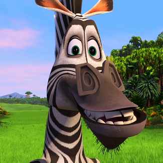Marty the zebra is a quick witted free spirit