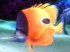Bill, a yellow longnose butterflyfish, Tad's father